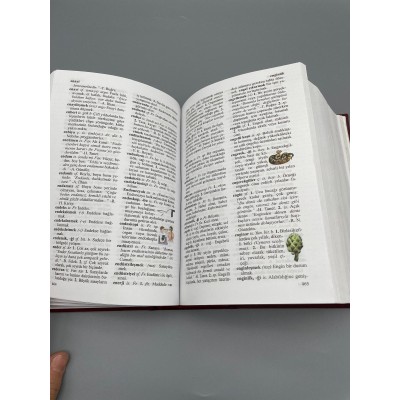 RESİMLİ OKUL SÖZLÜĞÜ 