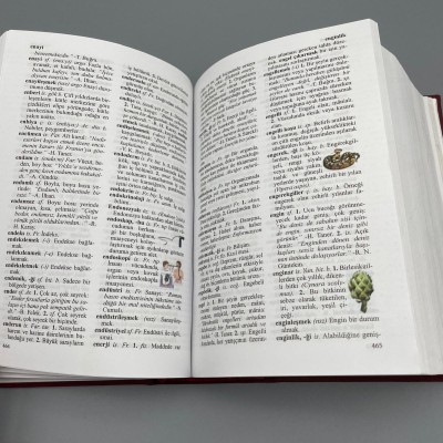 RESİMLİ OKUL SÖZLÜĞÜ 