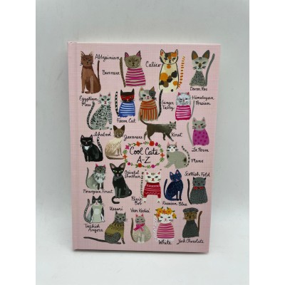 DEFTER  - SUMMER CATS / COOL CATS