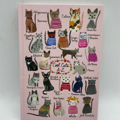 DEFTER  - SUMMER CATS / COOL CATS