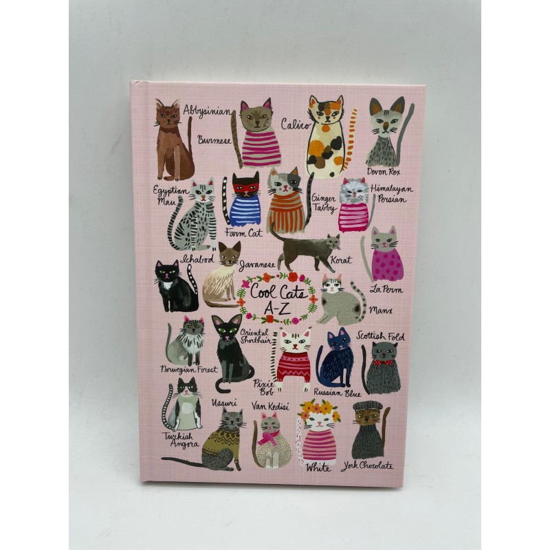 DEFTER  - SUMMER CATS / COOL CATS