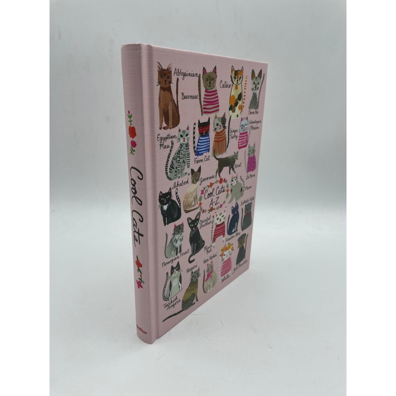 DEFTER  - SUMMER CATS / COOL CATS