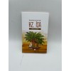 MUCİZELERLE DOLU BİR HAYAT HZ. İSA